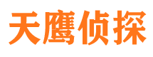 河西市私家侦探